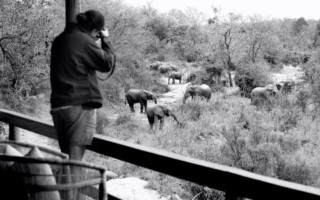 Londolozi Founder [320x200]